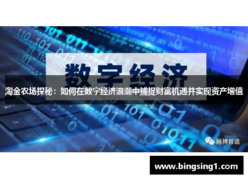 淘金农场探秘：如何在数字经济浪潮中捕捉财富机遇并实现资产增值